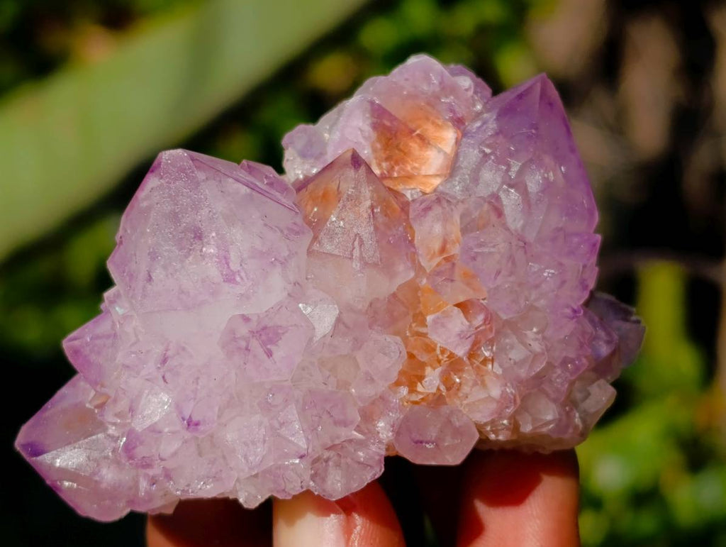 Natural Amethyst Spirit Quartz Clusters x 12 From Boekenhouthoek, South Africa - Toprock Gemstones and Minerals 
