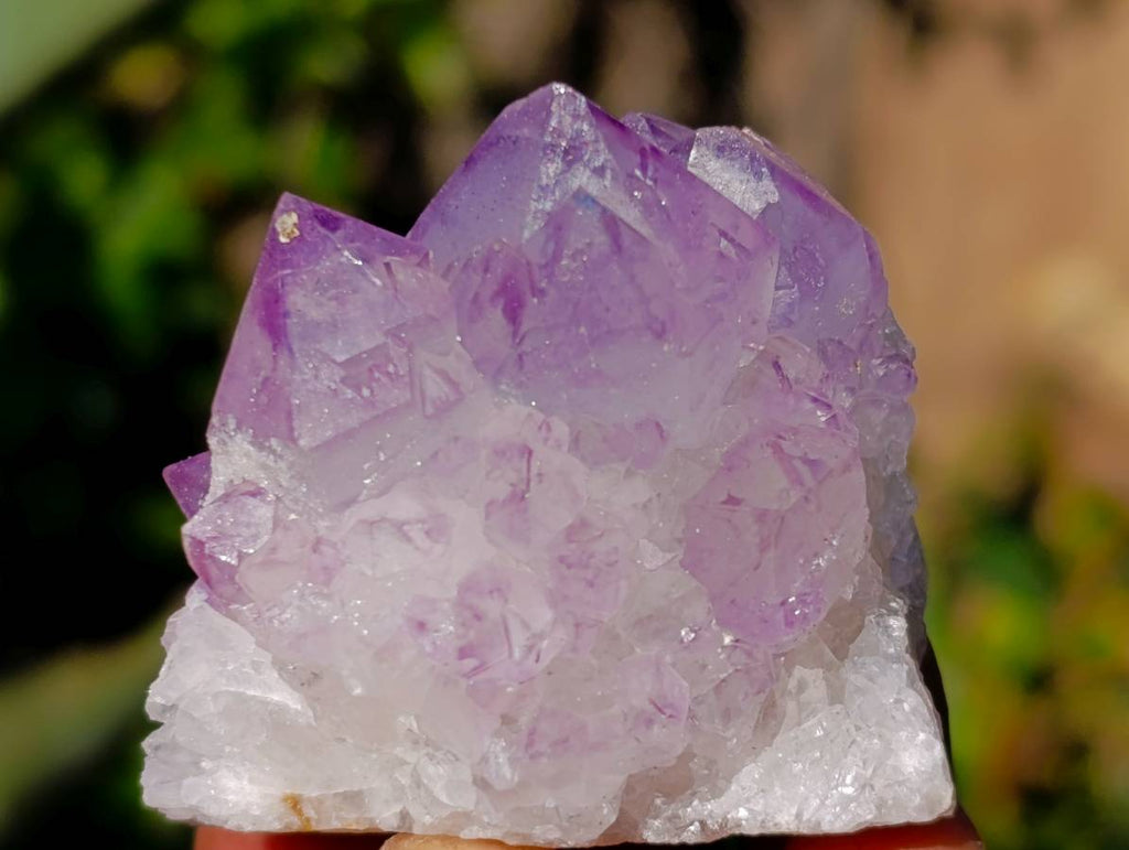 Natural Amethyst Spirit Quartz Clusters x 12 From Boekenhouthoek, South Africa - Toprock Gemstones and Minerals 