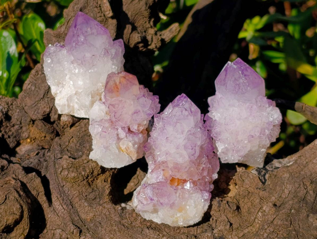 Natural Amethyst Spirit Quartz Clusters x 12 From Boekenhouthoek, South Africa - Toprock Gemstones and Minerals 
