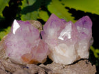 Natural Amethyst Spirit Quartz Clusters x 12 From Boekenhouthoek, South Africa - Toprock Gemstones and Minerals 