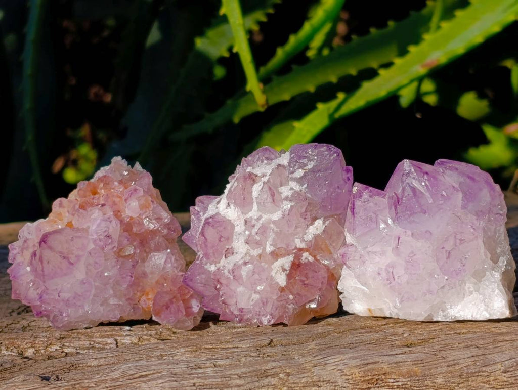 Natural Amethyst Spirit Quartz Clusters x 12 From Boekenhouthoek, South Africa - Toprock Gemstones and Minerals 