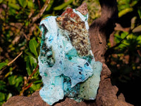Natural Malacolla Specimens x 2 From Luputo Mine, Congo