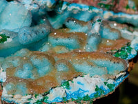 Natural Malacolla Specimens x 2 From Luputo Mine, Congo