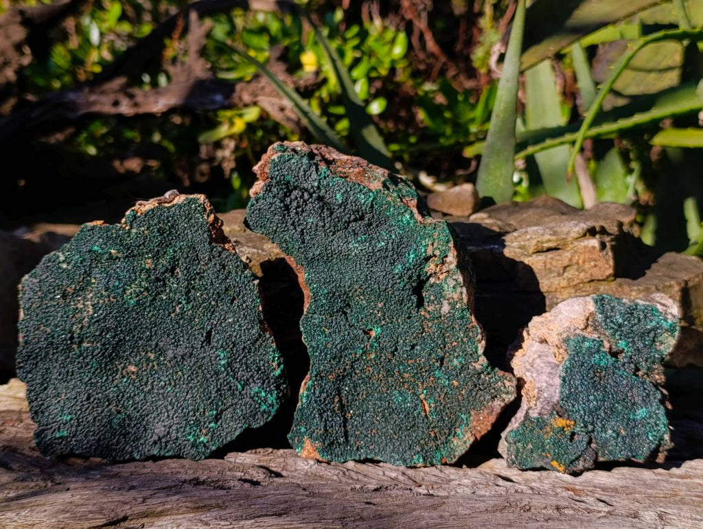 Natural Crystalline Malachite Specimens x 3 From Tenke Fungumure, Congo - Toprock Gemstones and Minerals 