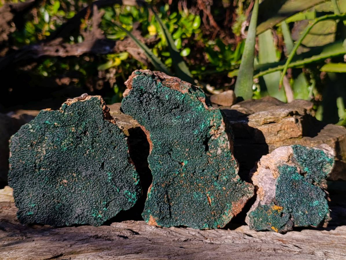 Natural Crystalline Malachite Specimens x 3 From Tenke Fungumure, Congo - Toprock Gemstones and Minerals 