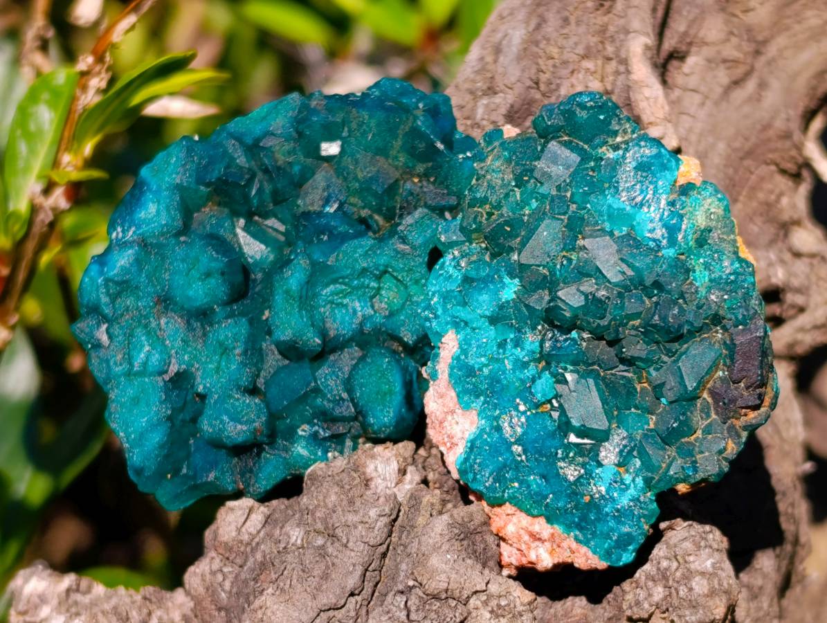 Natural Dioptase on Dolomite Matrix Specimens x 12 From Likasi, Congo - Toprock Gemstones and Minerals 
