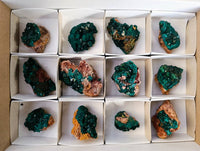 Natural Dioptase on Dolomite Matrix Specimens x 12 From Likasi, Congo