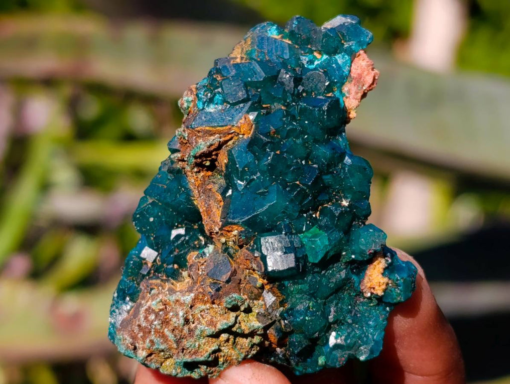 Natural Dioptase on Dolomite Matrix Specimens x 12 From Likasi, Congo - Toprock Gemstones and Minerals 