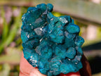Natural Dioptase on Dolomite Matrix Specimens x 12 From Likasi, Congo - Toprock Gemstones and Minerals 