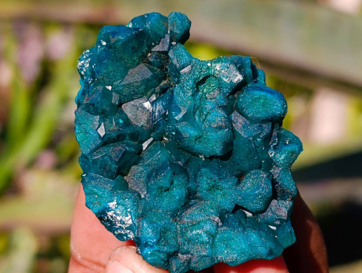 Natural Dioptase on Dolomite Matrix Specimens x 12 From Likasi, Congo - Toprock Gemstones and Minerals 