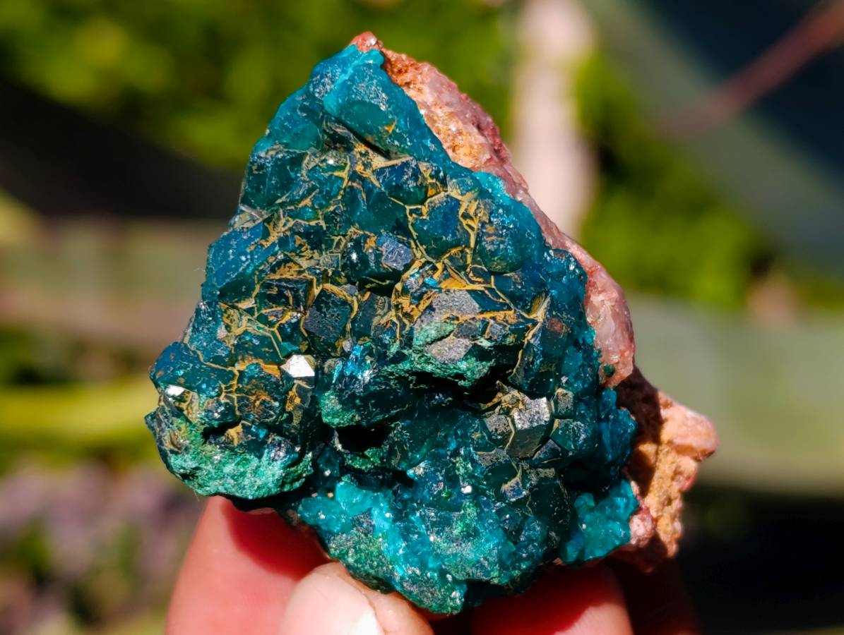 Natural Dioptase on Dolomite Matrix Specimens x 12 From Likasi, Congo - Toprock Gemstones and Minerals 