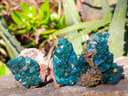 Natural Dioptase on Dolomite Matrix Specimens x 12 From Likasi, Congo - Toprock Gemstones and Minerals 
