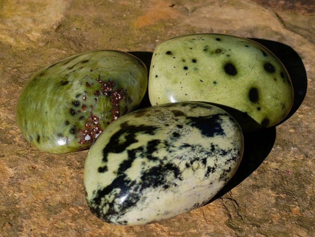 Polished Leopard Stone Free Forms x 10 From Nyanga, Zimbabwe - Toprock Gemstones and Minerals 