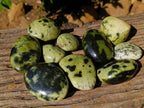 Polished Leopard Stone Free Forms x 10 From Nyanga, Zimbabwe - Toprock Gemstones and Minerals 