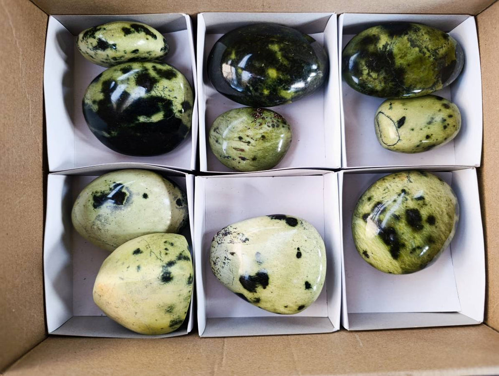 Polished Leopard Stone Free Forms x 10 From Nyanga, Zimbabwe - Toprock Gemstones and Minerals 