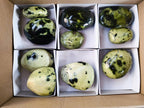 Polished Leopard Stone Free Forms x 10 From Nyanga, Zimbabwe - Toprock Gemstones and Minerals 