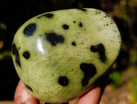 Polished Leopard Stone Free Forms x 10 From Nyanga, Zimbabwe - Toprock Gemstones and Minerals 