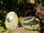 Polished Leopard Stone Free Forms x 10 From Nyanga, Zimbabwe - Toprock Gemstones and Minerals 