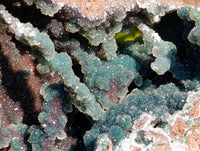 Natural Ball Malachite On Red Dolomite Matrix Specimen x 1 From Likasi, Congo