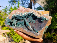 Natural Ball Malachite On Red Dolomite Matrix Specimen x 1 From Likasi, Congo