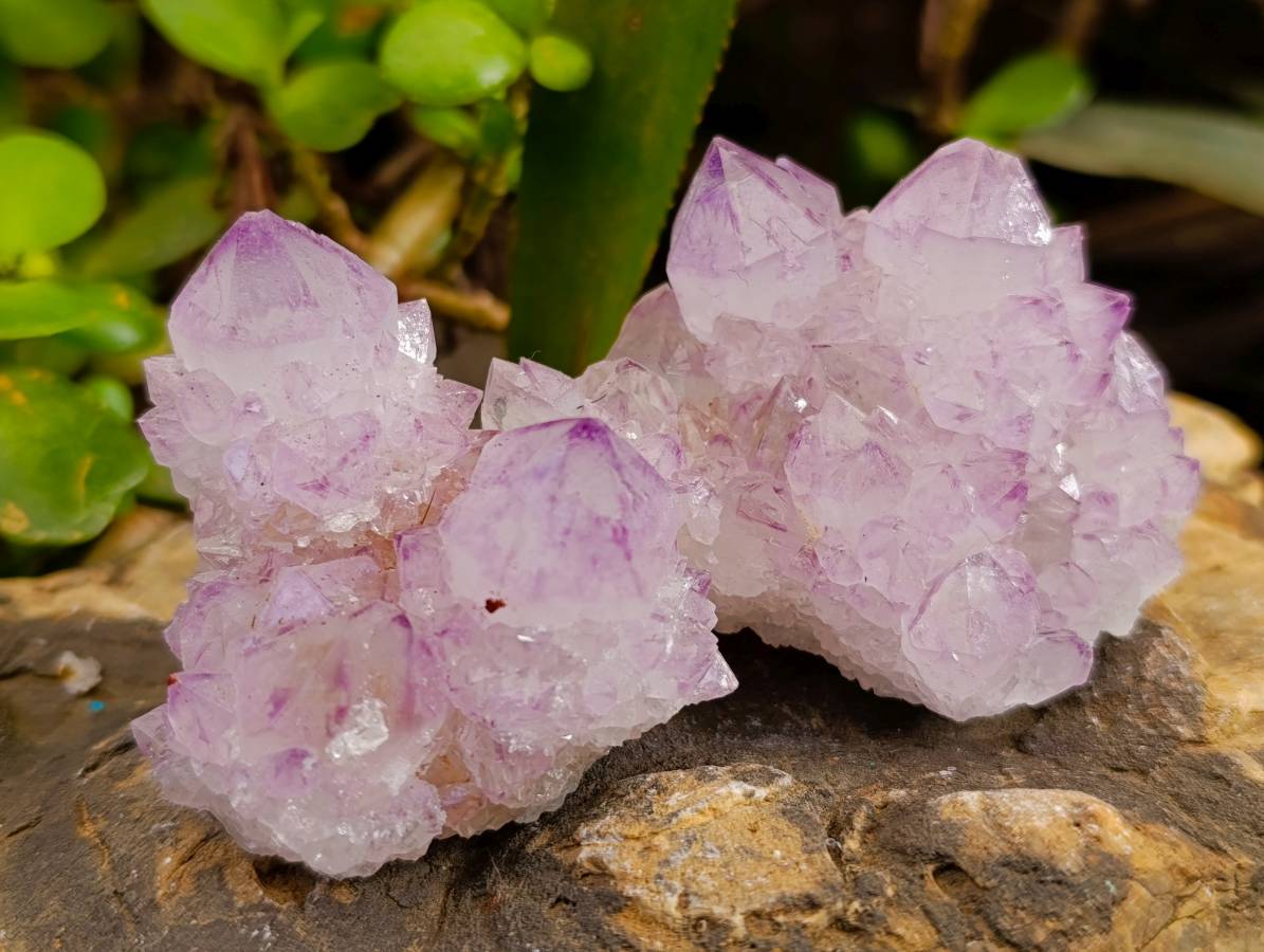 Natural Amethyst Spirit Quartz Clusters x 12 From Boekenhouthoek, South Africa - Toprock Gemstones and Minerals 
