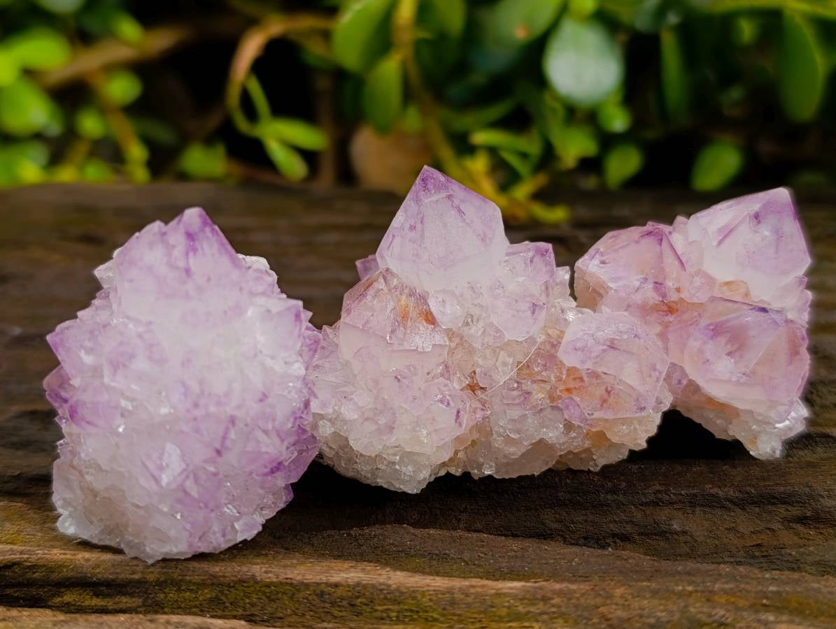 Natural Amethyst Spirit Quartz Clusters x 12 From Boekenhouthoek, South Africa - Toprock Gemstones and Minerals 