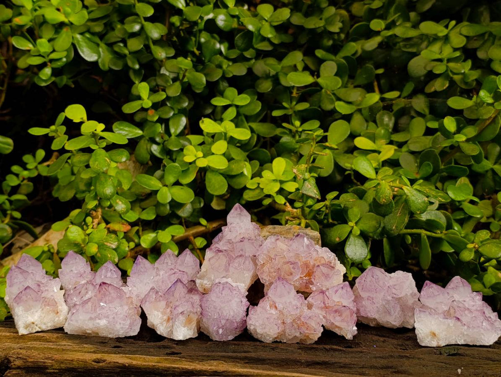 Natural Amethyst Spirit Quartz Clusters x 12 From Boekenhouthoek, South Africa - Toprock Gemstones and Minerals 