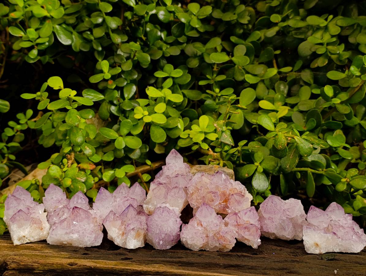 Natural Amethyst Spirit Quartz Clusters x 12 From Boekenhouthoek, South Africa - Toprock Gemstones and Minerals 