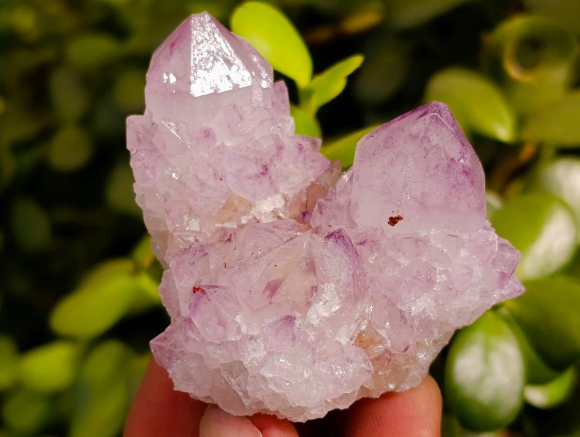 Natural Amethyst Spirit Quartz Clusters x 12 From Boekenhouthoek, South Africa - Toprock Gemstones and Minerals 