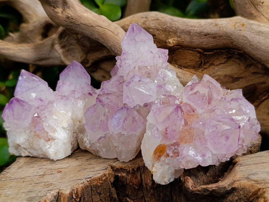 Natural Amethyst Spirit Quartz Clusters x 12 From Boekenhouthoek, South Africa - Toprock Gemstones and Minerals 