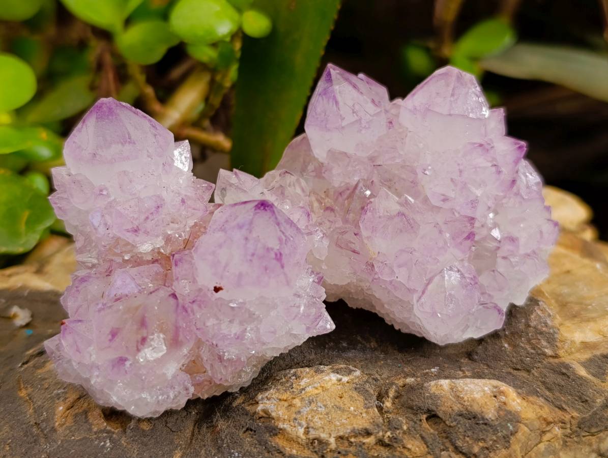 Natural Amethyst Spirit Quartz Clusters x 12 From Boekenhouthoek, South Africa - Toprock Gemstones and Minerals 