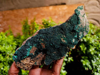 Natural Crystalline Malachite Specimens x 4 From Tenke Fungumure, Congo