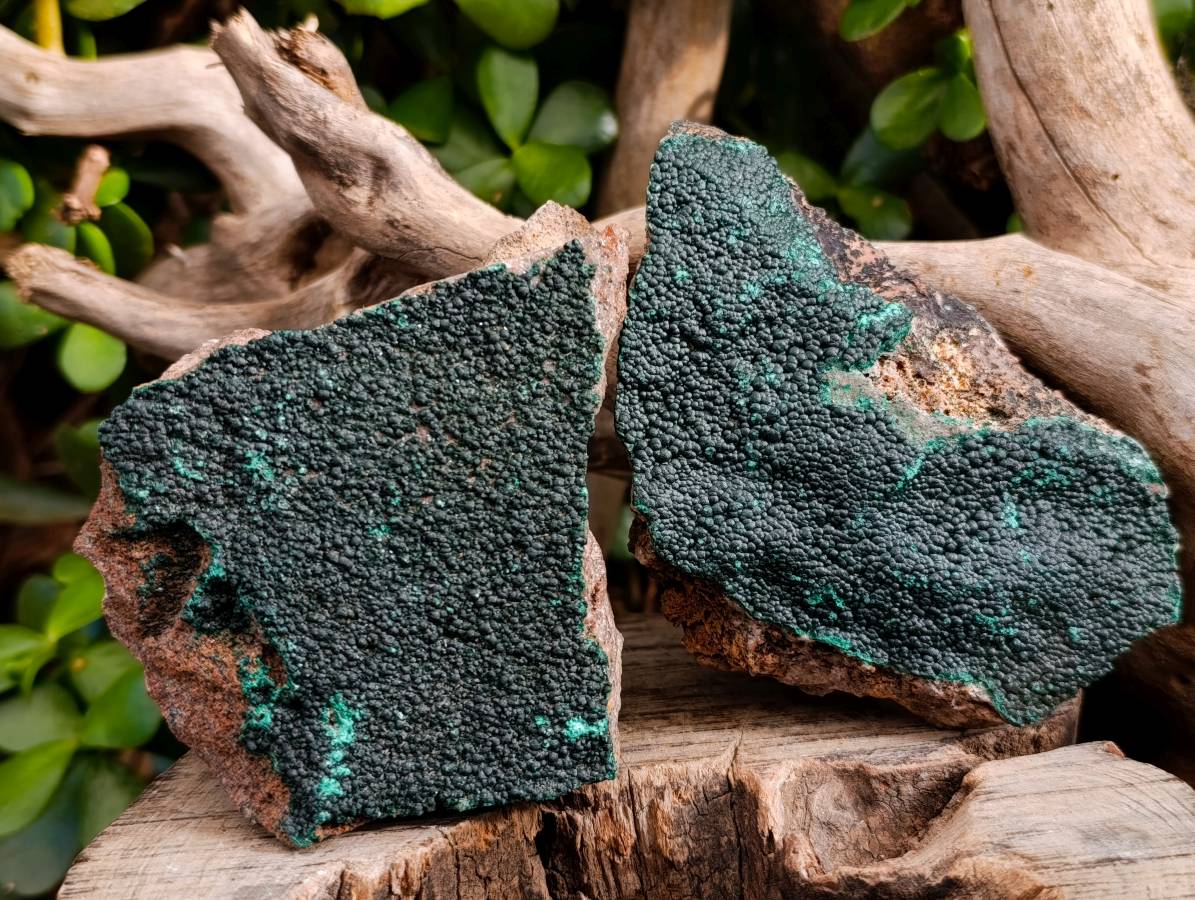 Natural Crystalline Malachite Specimens x 4 From Tenke Fungumure, Congo - Toprock Gemstones and Minerals 