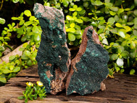Natural Crystalline Malachite Specimens x 4 From Tenke Fungumure, Congo