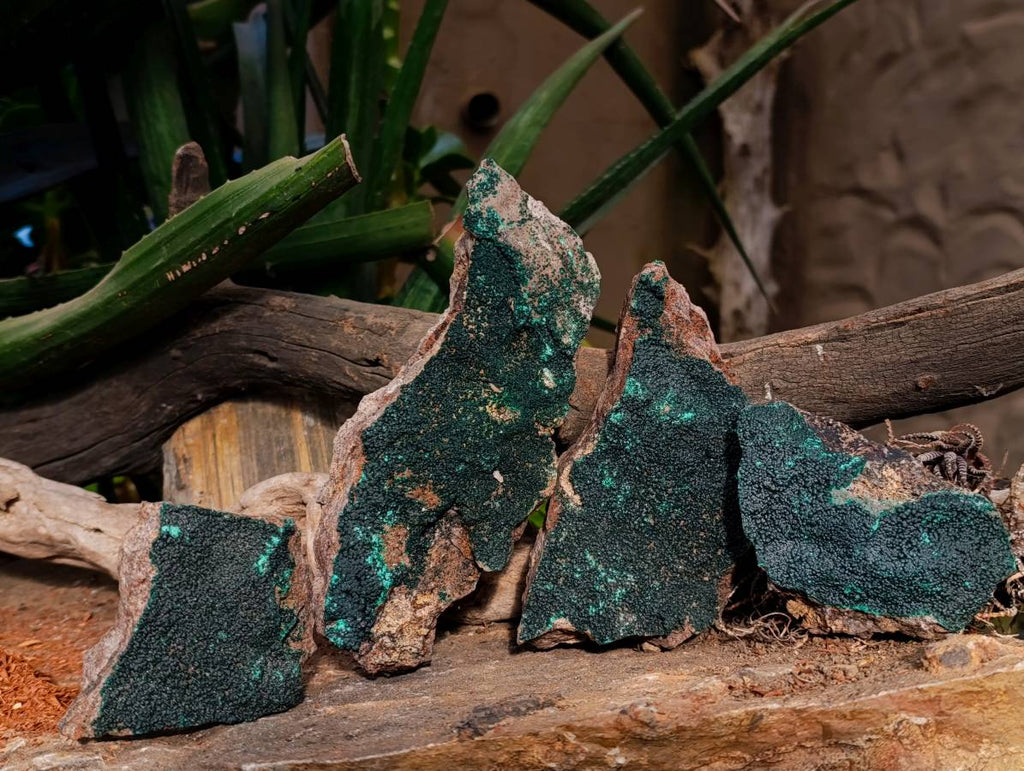 Natural Crystalline Malachite Specimens x 4 From Tenke Fungumure, Congo - Toprock Gemstones and Minerals 