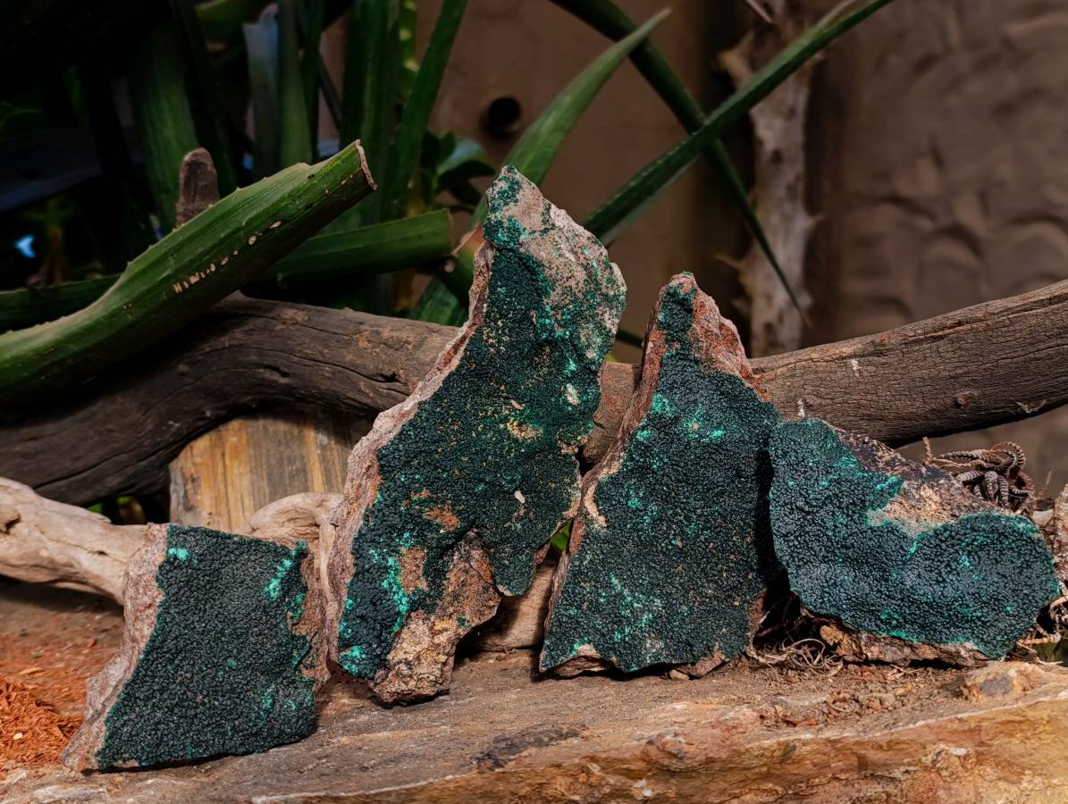 Natural Crystalline Malachite Specimens x 4 From Tenke Fungumure, Congo - Toprock Gemstones and Minerals 