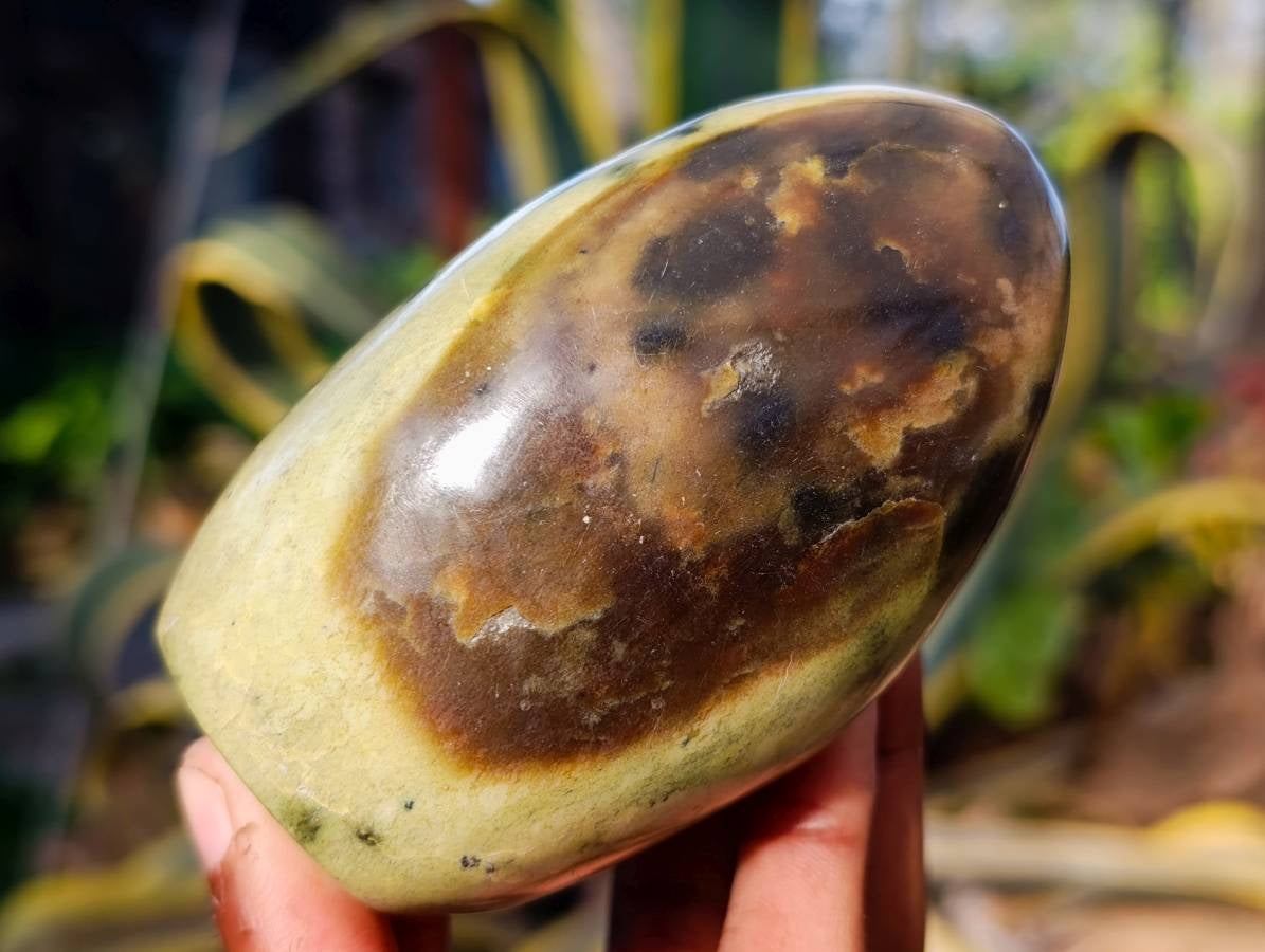 Polished Leopard Stone Standing Free Forms x 5 From Nyanga, Zimbabwe - Toprock Gemstones and Minerals 