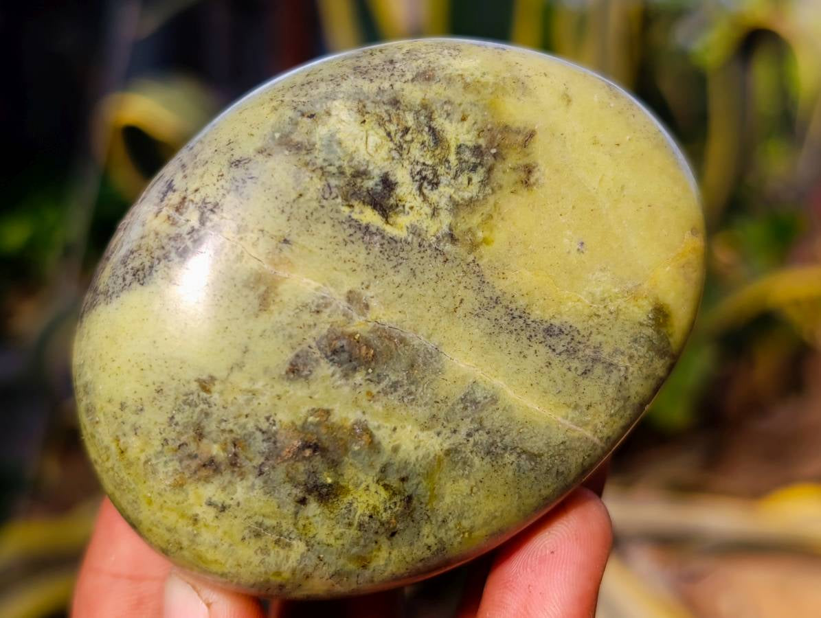 Polished Leopard Stone Standing Free Forms x 5 From Nyanga, Zimbabwe - Toprock Gemstones and Minerals 