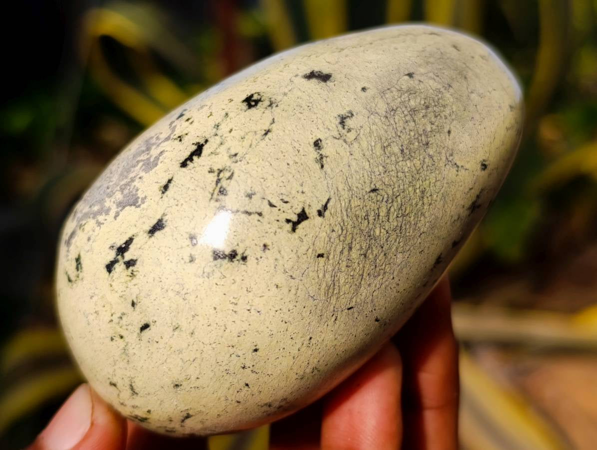 Polished Leopard Stone Standing Free Forms x 5 From Nyanga, Zimbabwe - Toprock Gemstones and Minerals 