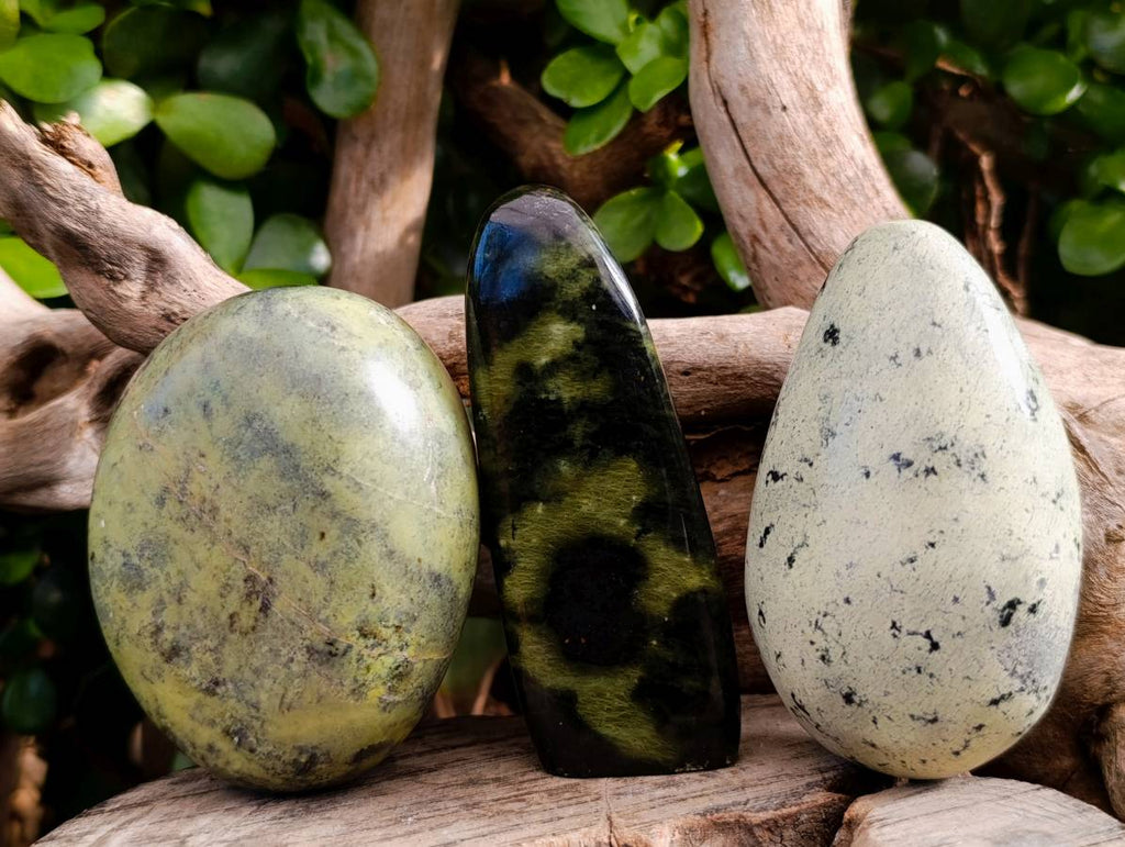 Polished Leopard Stone Standing Free Forms x 5 From Nyanga, Zimbabwe - Toprock Gemstones and Minerals 