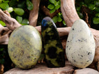 Polished Leopard Stone Standing Free Forms x 5 From Nyanga, Zimbabwe - Toprock Gemstones and Minerals 