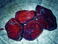 Polished Mixed Assortment of Tumbled Stones x 36 From Southern Africa - Toprock Gemstones and Minerals 