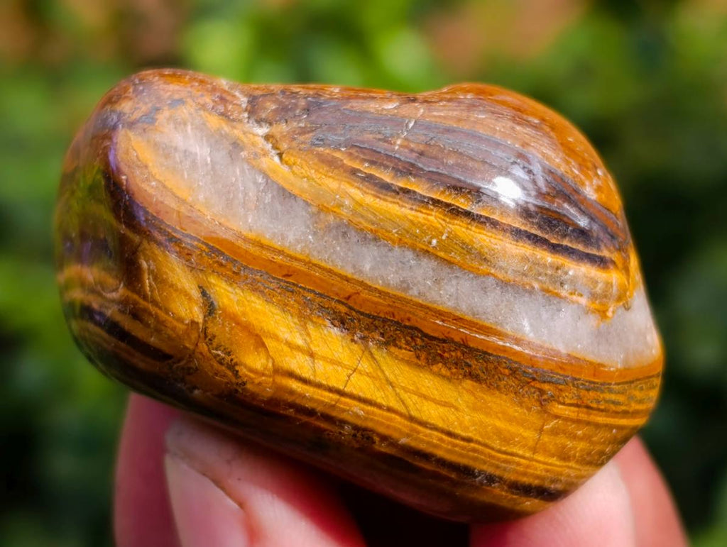 Polished Mixed Assortment of Tumbled Stones x 36 From Southern Africa - Toprock Gemstones and Minerals 