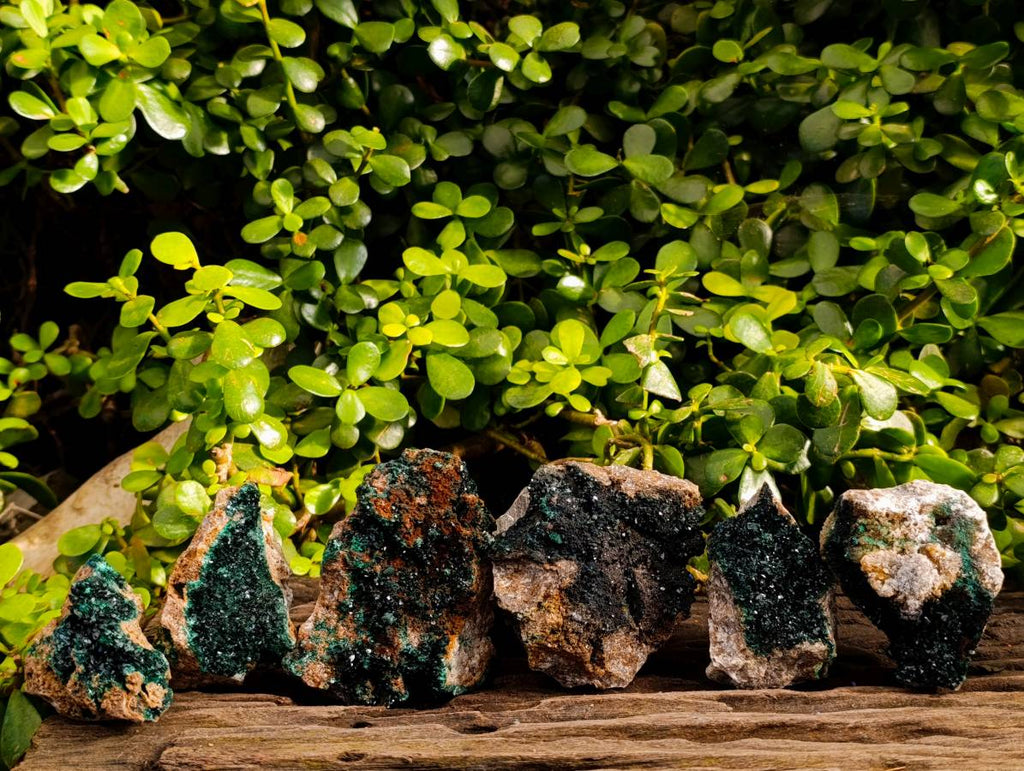 Natural Ball Malachite On Red Dolomite Matrix Specimens x 6 From Likasi, Congo - Toprock Gemstones and Minerals 