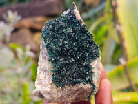 Natural Ball Malachite On Red Dolomite Matrix Specimens x 6 From Likasi, Congo