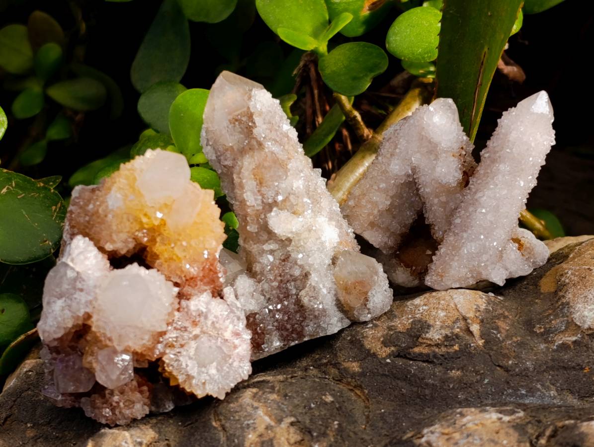 Natural Spirit Quartz Specimens x 36 From Boekenhouthoek, South Africa - Toprock Gemstones and Minerals 