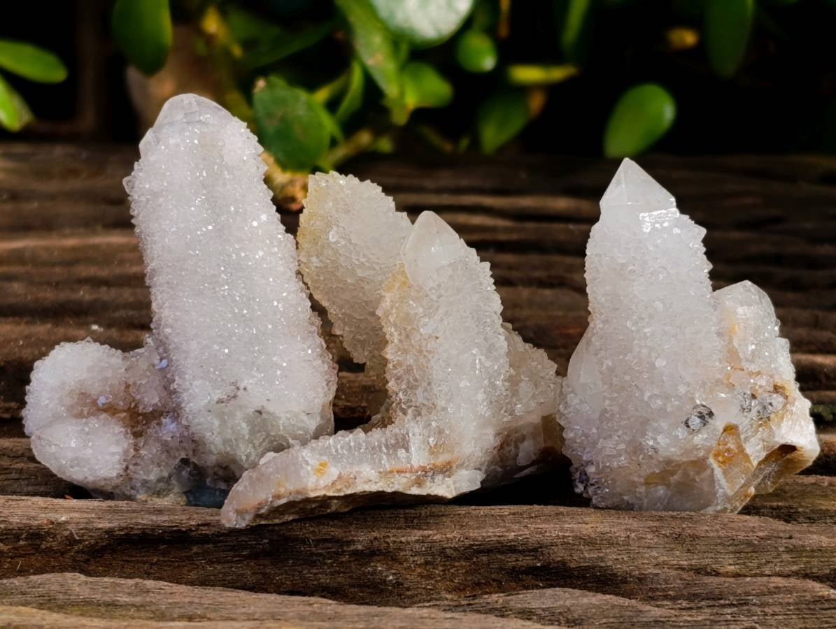 Natural Spirit Quartz Specimens x 36 From Boekenhouthoek, South Africa - Toprock Gemstones and Minerals 
