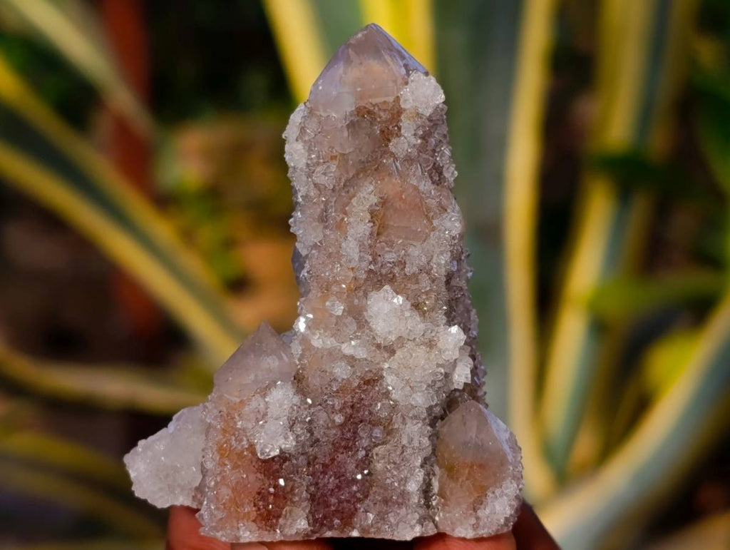 Natural Spirit Quartz Specimens x 36 From Boekenhouthoek, South Africa - Toprock Gemstones and Minerals 