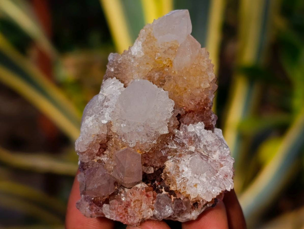 Natural Spirit Quartz Specimens x 36 From Boekenhouthoek, South Africa - Toprock Gemstones and Minerals 