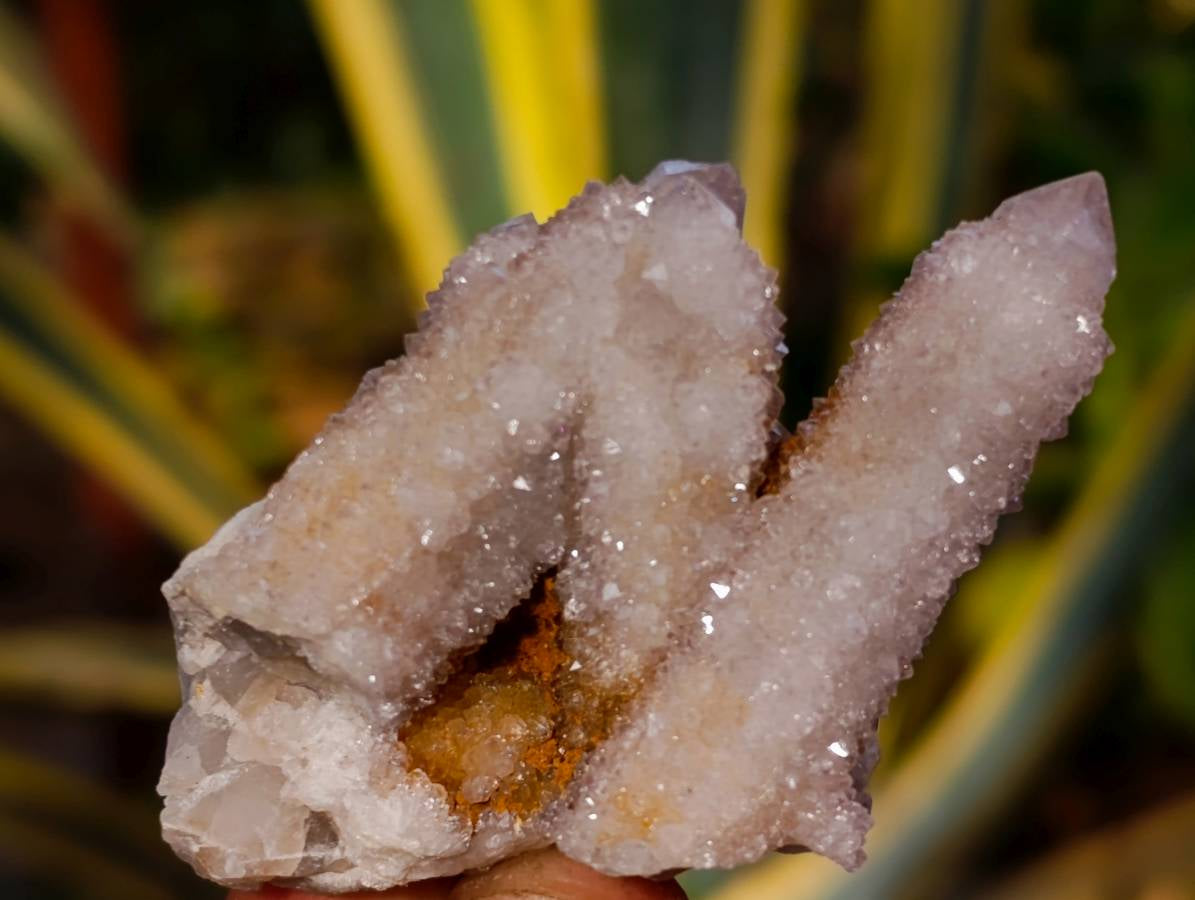 Natural Spirit Quartz Specimens x 36 From Boekenhouthoek, South Africa - Toprock Gemstones and Minerals 
